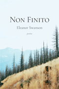 Non Finito cover